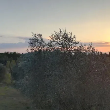 Rododendro Casa Sulle Colline Toscane Vicino San Giminiano Ferienhaus *